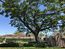 venta de casas de una planta en santa ana 21